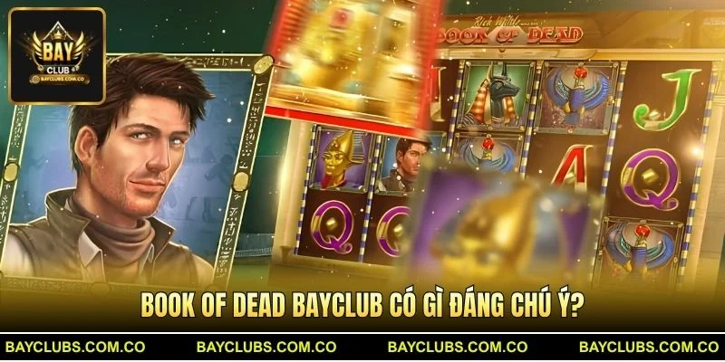 Book of Dead BayClub có gì đáng chú ý?