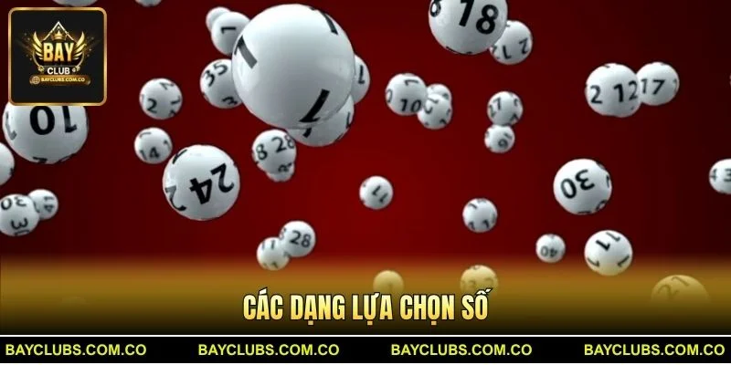 Các dạng lựa chọn số