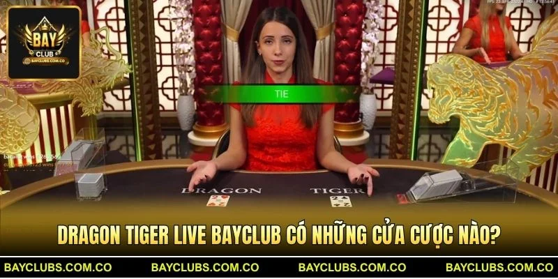 Dragon Tiger Live BayClub – Trải Nghiệm Đấu Hổ Cực Đã 3 Dragon Tiger Live BayClub có những cửa cược nào?