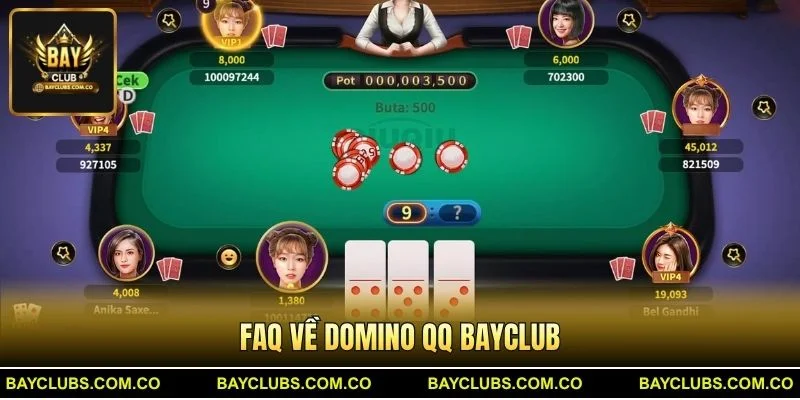 FAQ về Domino QQ BayClub