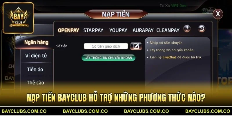 Nạp Tiền BayClub – Giao Dịch Nhanh, Ưu Đãi Hấp Dẫn 1 Nạp Tiền BayClub hỗ trợ những phương thức nào?
