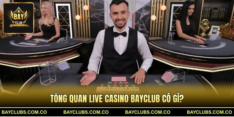 Tổng quan Live Casino BayClub có gì?