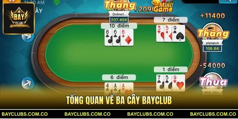 Tổng quan về Ba Cây BayClub