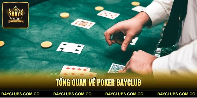 Tổng quan về Poker BayClub